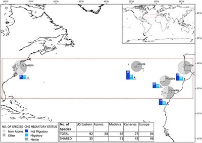 Review of the Diversity, Ecology, and Conservation of Elasmobranchs in the Azores Region, Mid-North Atlantic